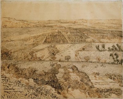La Crau Seen from Montmajour by Vincent van Gogh
